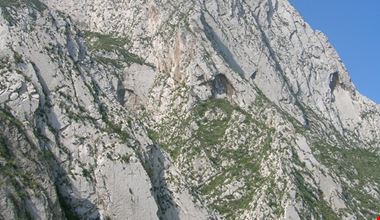 498_35.jpg 498_35.jpg