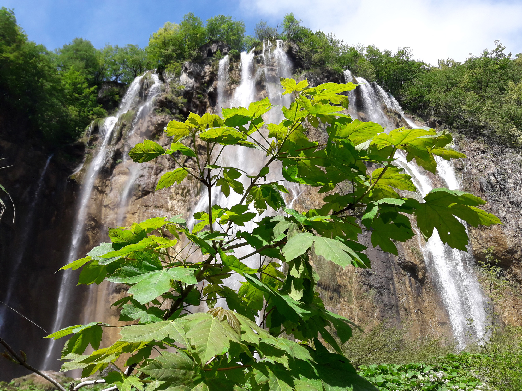 20180516_105151.jpg