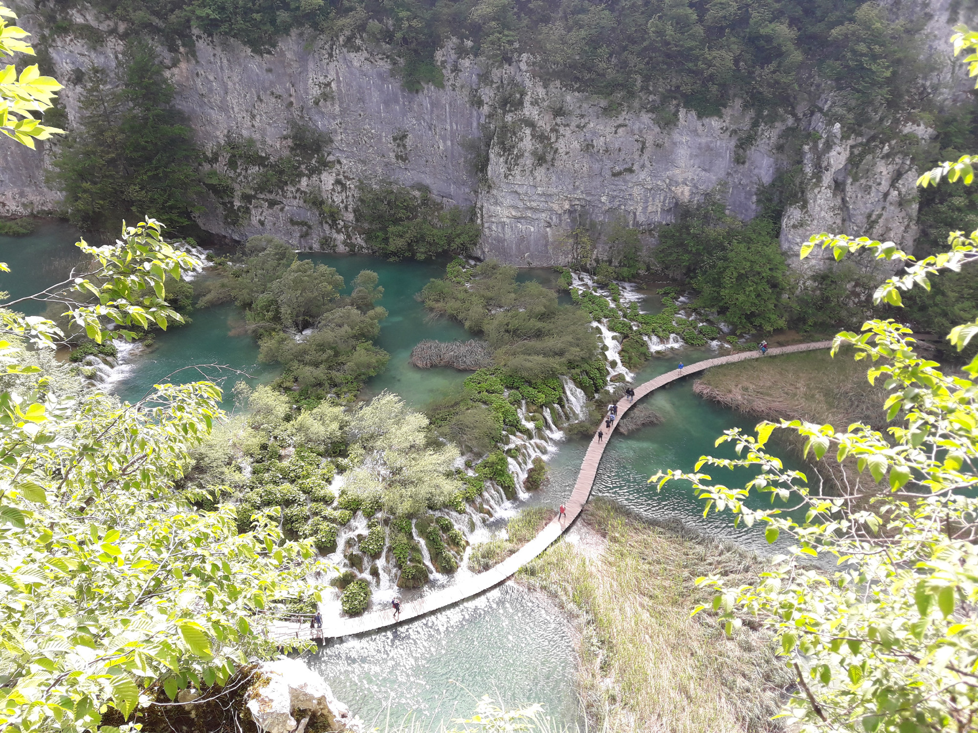 20180516_163004.jpg