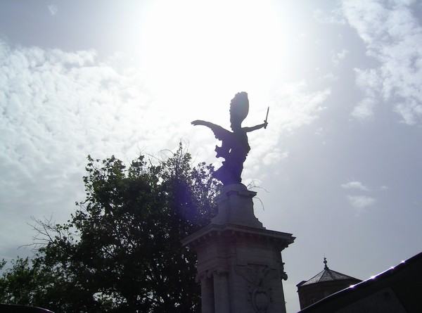562_13.jpg