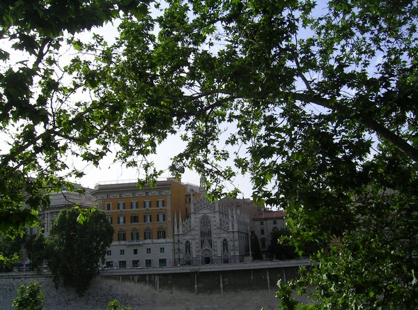 562_16.jpg