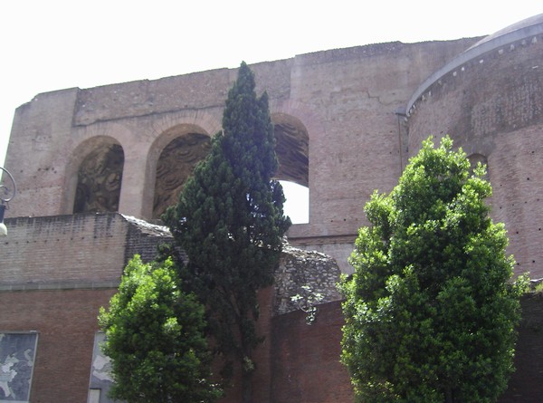 562_2.jpg
