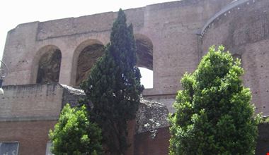 562_2.jpg 562_2.jpg