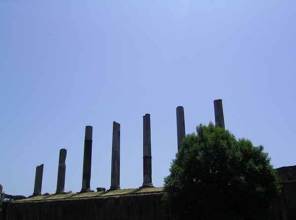 562_3.jpg