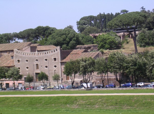 562_6.jpg