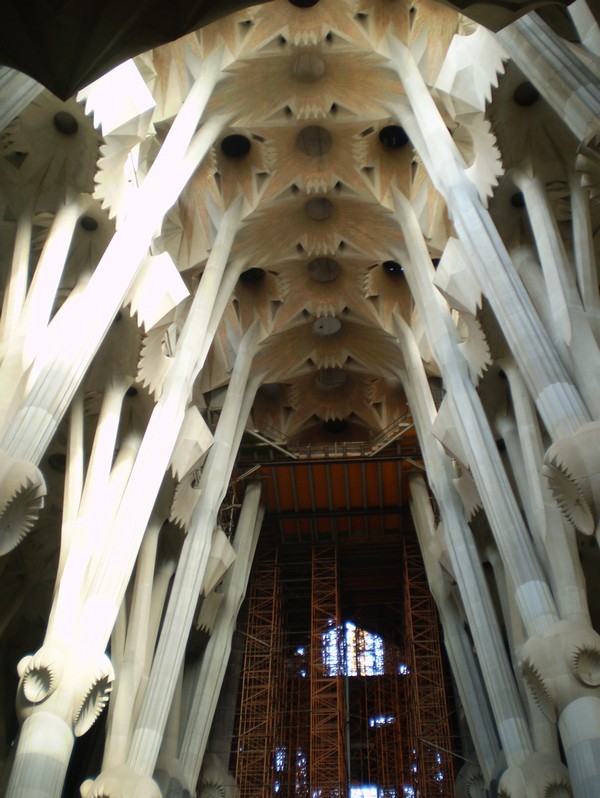 574_10.jpg
