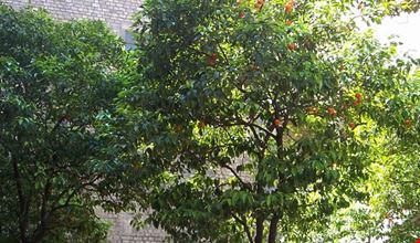574_6.jpg 574_6.jpg