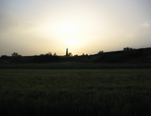 575_5.jpg