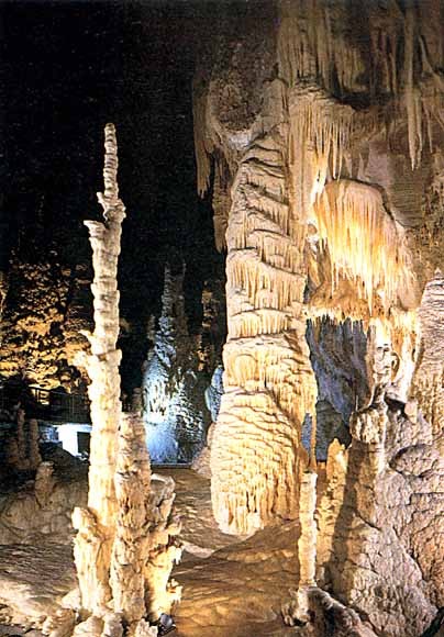 577_10.jpg