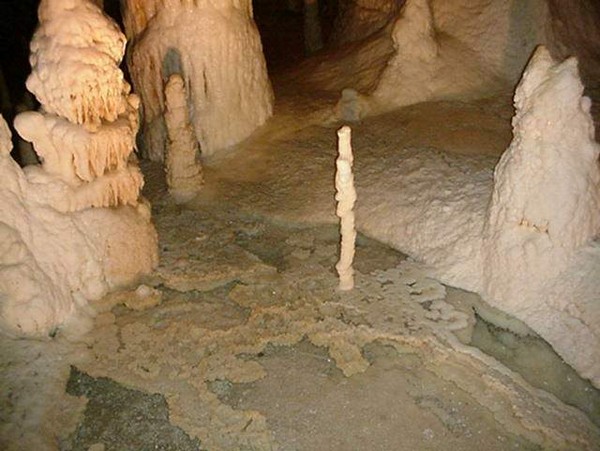 577_15.jpg