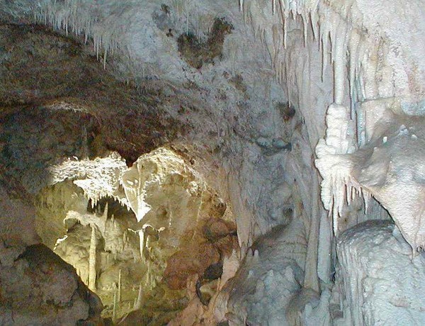 577_19.jpg