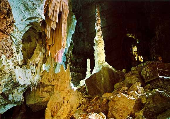 577_6.jpg