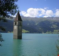 590_1.jpg 590_1.jpg