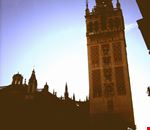 595_1.jpg 595_1.jpg