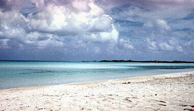 59_11.jpg 59_11.jpg