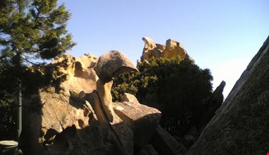 634_10.jpg 634_10.jpg