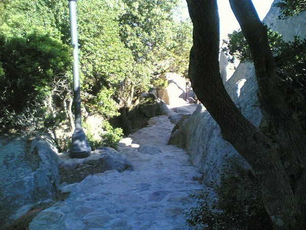 634_11.jpg