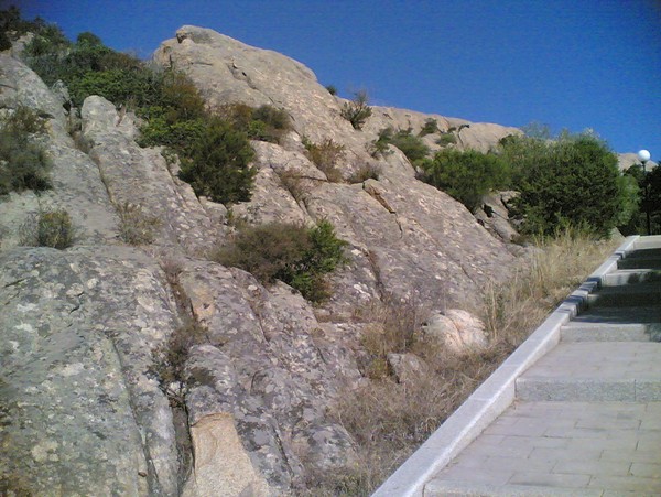 634_17.jpg