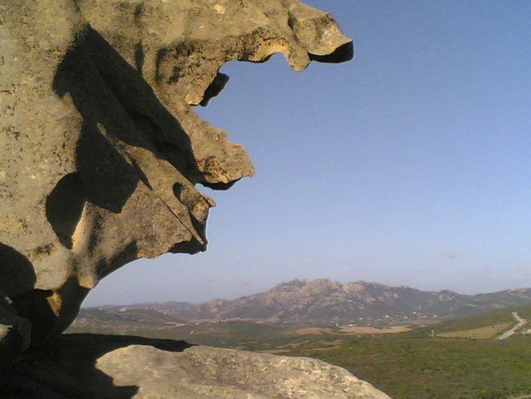 634_8.jpg