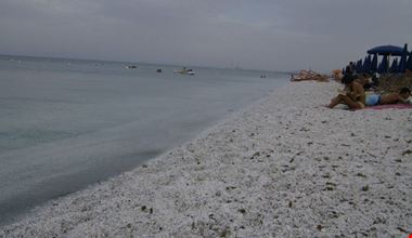 650_8.jpg 650_8.jpg