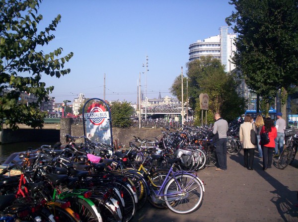 662_3.jpg