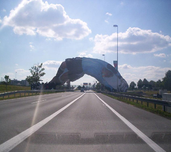 72_1.jpg