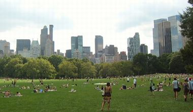 731_1.jpg 731_1.jpg