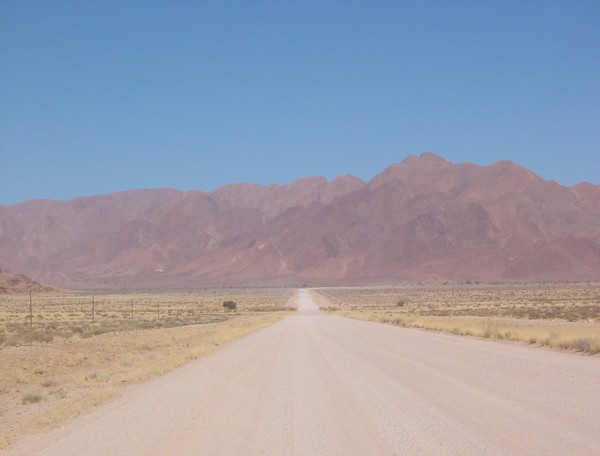 739_14.jpg