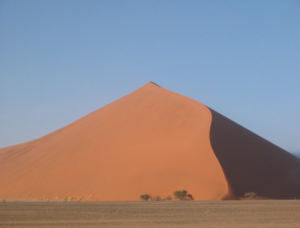 739_2.jpg