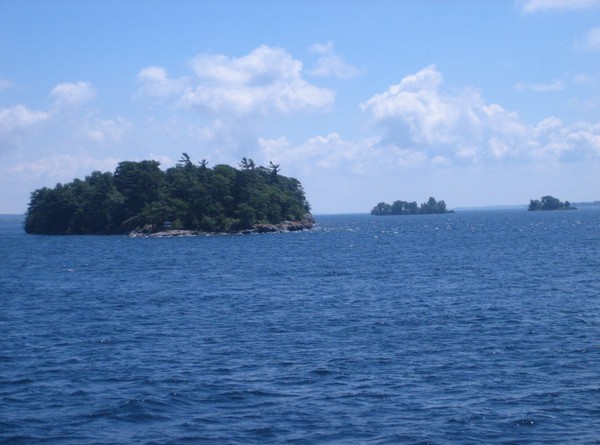 770_5.jpg