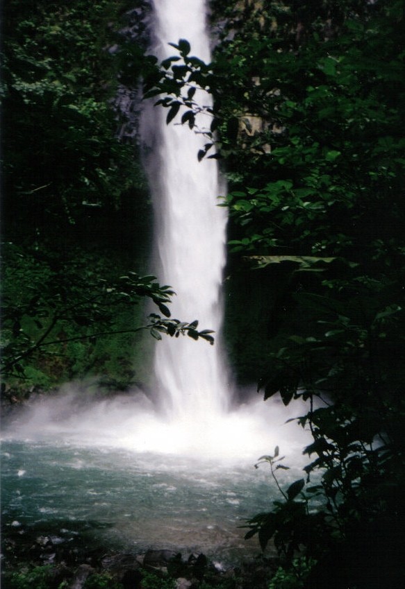 781_12.jpg