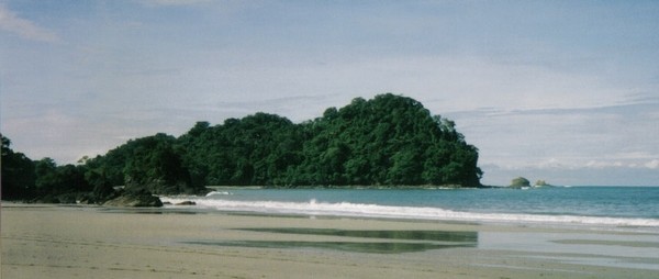 781_14.jpg