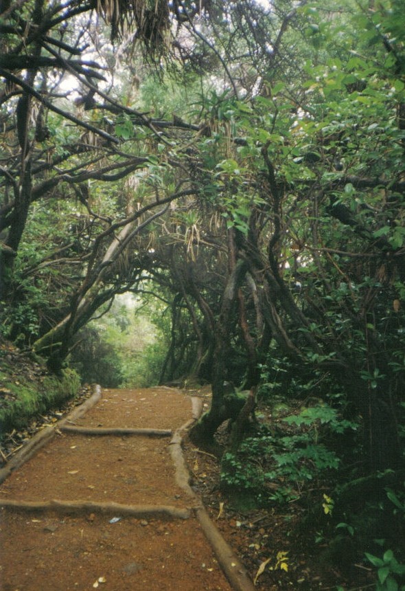 781_6.jpg