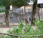 791_1.jpg 791_1.jpg