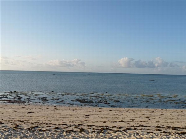 853_5.jpg