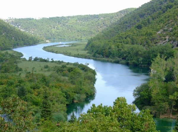 859_11.jpg