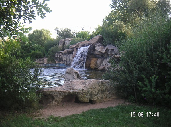 873_5.jpg
