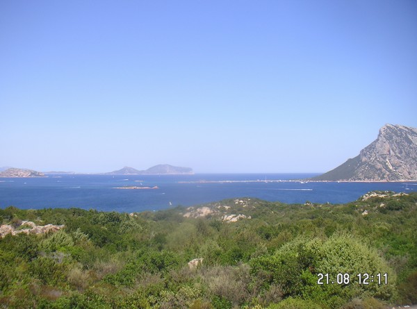 873_6.jpg