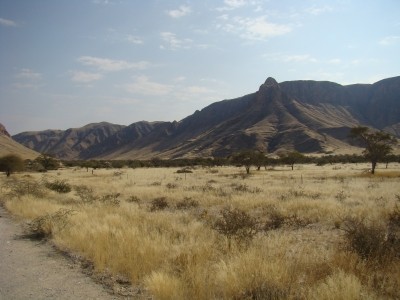 907_5.jpg