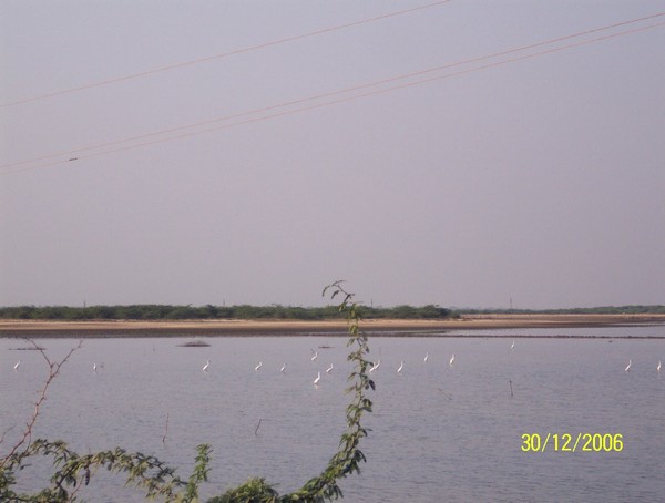 918_19.jpg