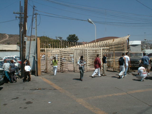 91_2.jpg