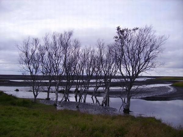 982_15.jpg