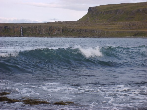 982_33.jpg