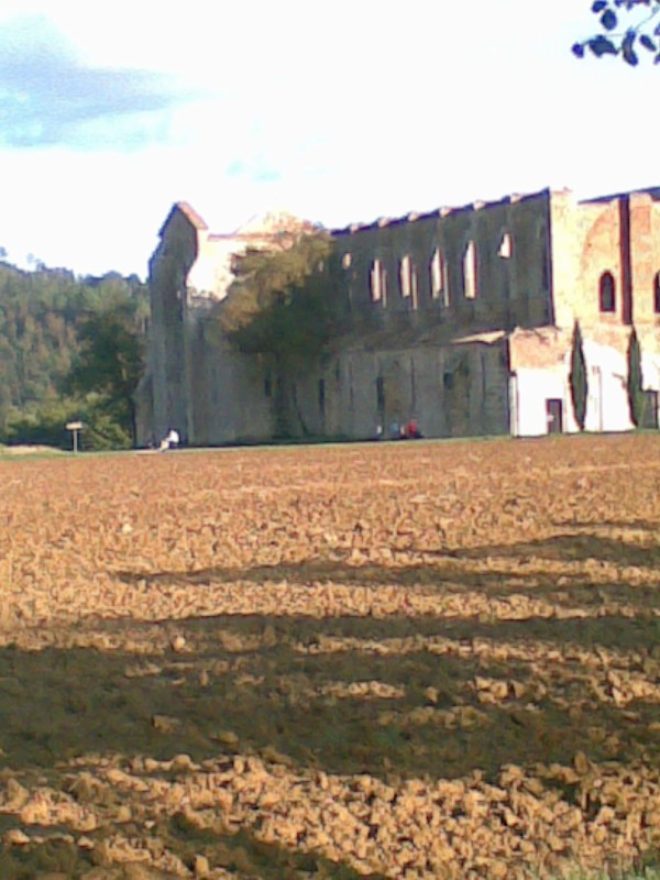 998_5.jpg