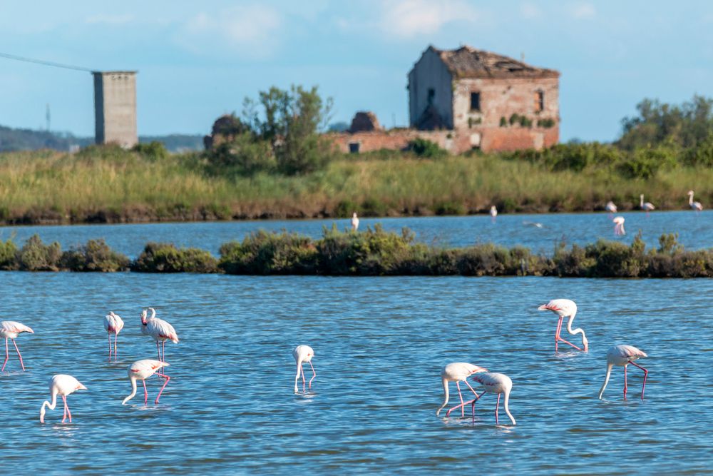 cosa_vedere-nei_dintorni_di_ravenna