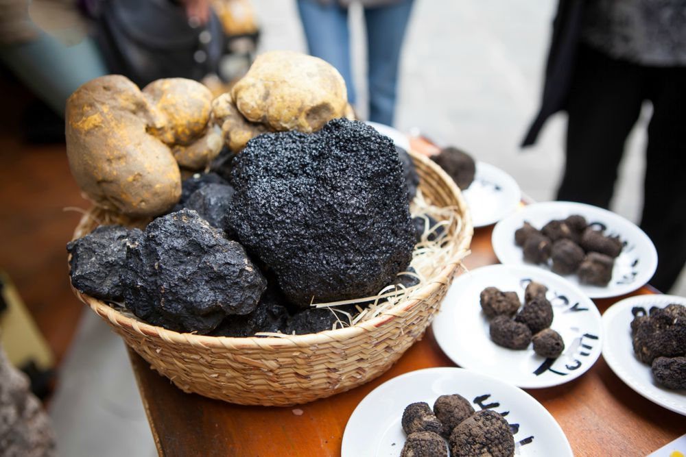 tartufo